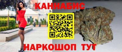 гидропоника Гатчина