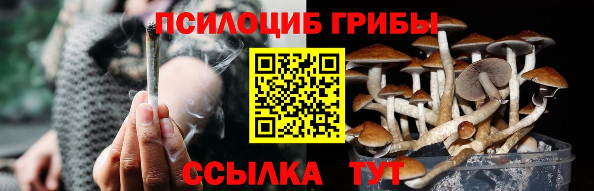 Дивногорск  Псилоцибиновые грибы мицелий  Вход с VPN  Галлюциногенные грибы прущие грибы 